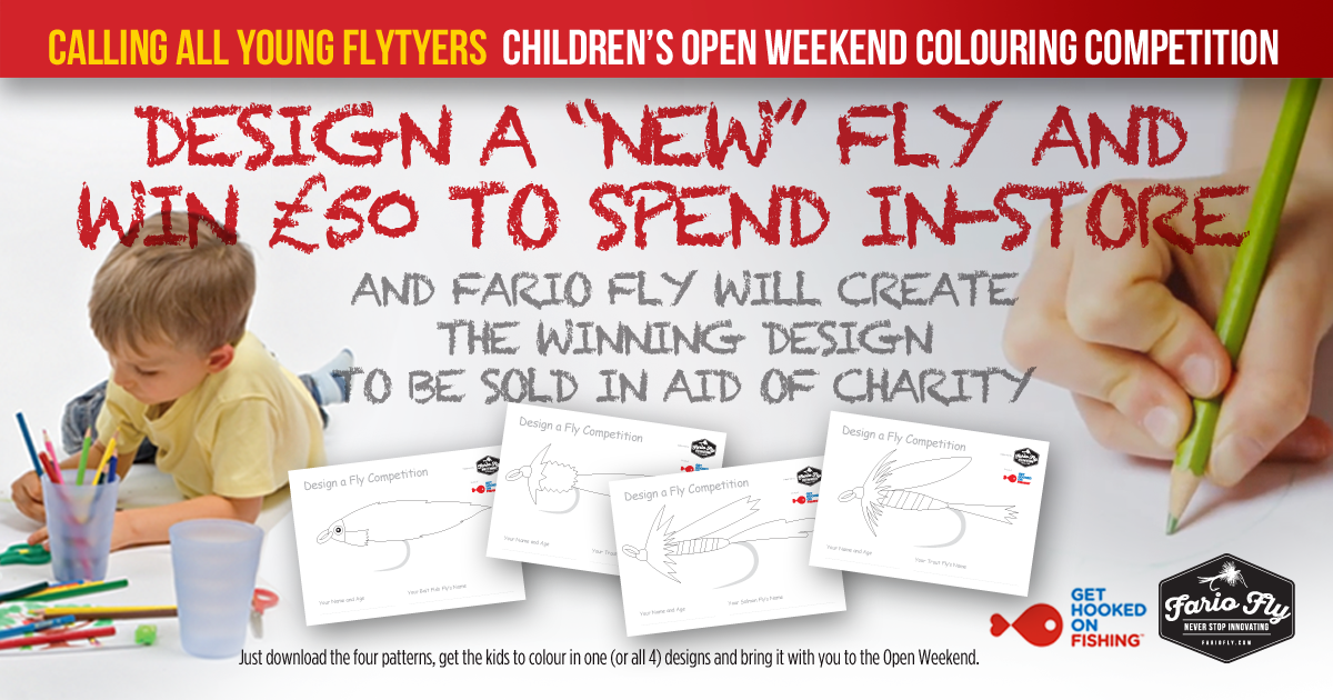 Design a Fly Competition