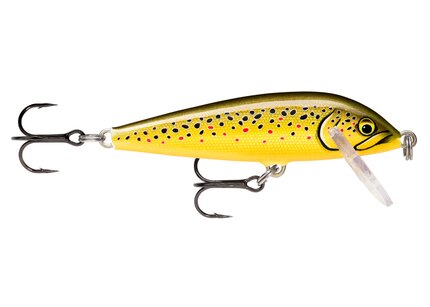 Rapala Countdown Sinking Lure Size: 11cm 16g : TR - Brown Trout