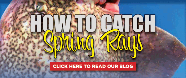 How to Catch Spring Rays Blog
