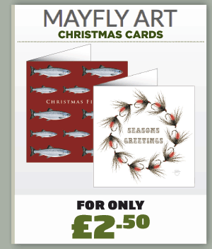 Mayfly Art Christmas Cards