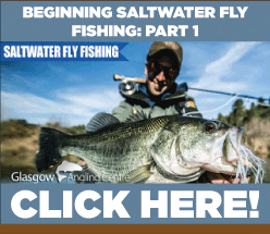 Pike and Saltwater Fishing Guide