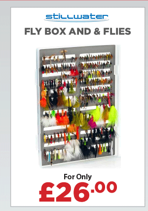 Stillwater Fly Box and Flies
