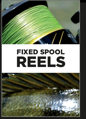 Shimano Fixed Spool Reels Back in Stock