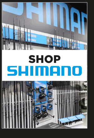 Shop All Shimano