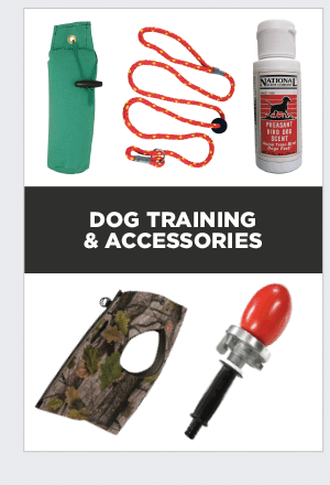 Dog Training & Accessories