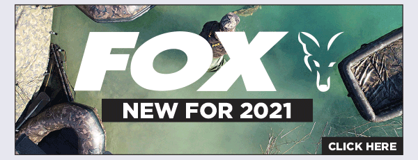 Fox New for 2021