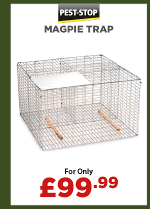 Pest Stop Magpie Trap