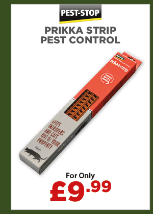 Stop Pest Prikka Strip Pest Control