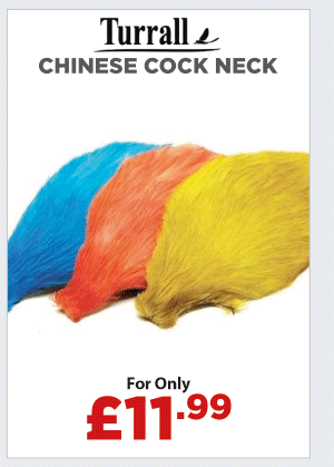 Turrall Chinese Cock Neck
