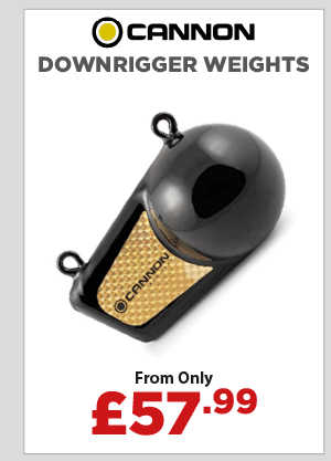 Cannon Downrigger Weights