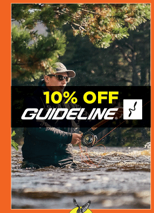 10% off Guideline