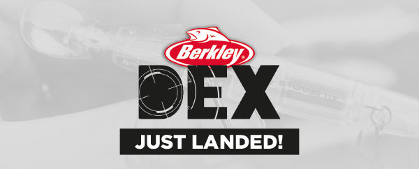 Berkley Dex Stunna Just Landed