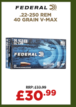 Federal .22-250 Rem 40 Grain V-Max