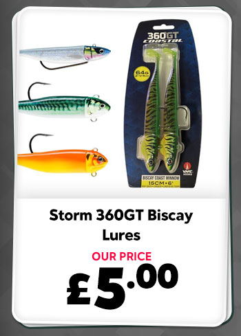 Storm 360GT Coastal Biscay Shad Jigheads 2pc