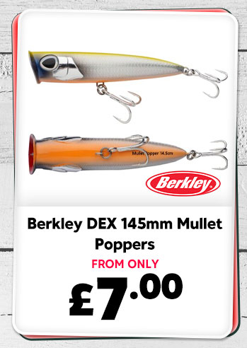 Berkley DEX Mullet Popper 145mm