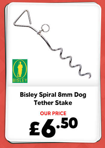 Bisley Spiral 8mm Dog Tether Stake