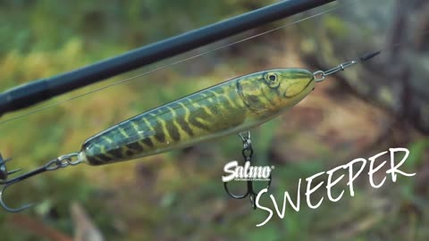 Salmo-Sweeper-17cm-Sinking