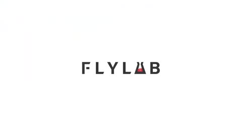 flylab-focus-fly-reel
