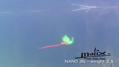 molix-nano-jig