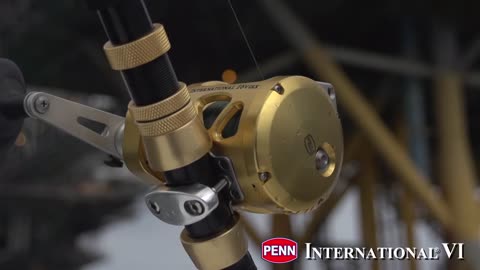 penn-international-vi-series-reels