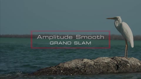 scientific-anglers-amplitude-smooth-grand-slam