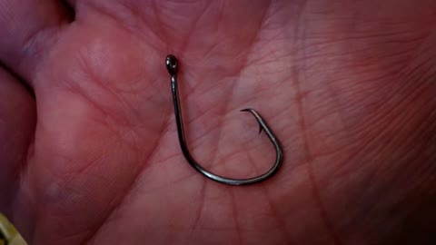 Tronixpro T22 Mutsu Circle Light Hook Ringed BN Offset Point 8/0 : 2 –  Glasgow Angling Centre