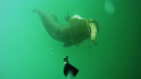 westin-escape-cam-underwater-fishing-camera